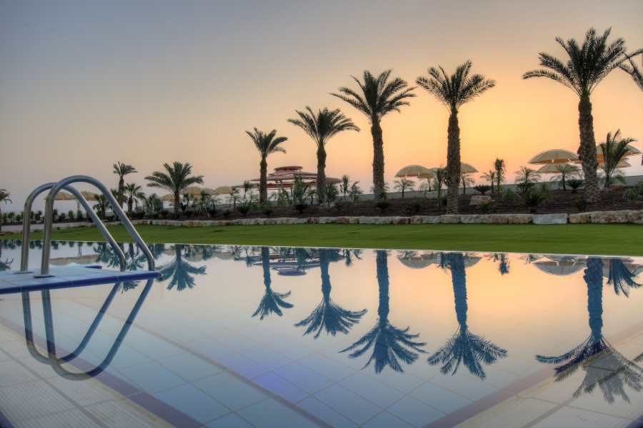 בריכה חיצונית | הרודס ים המלח