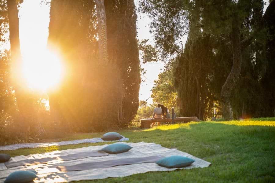 סדנאות ופעיליות בטבע