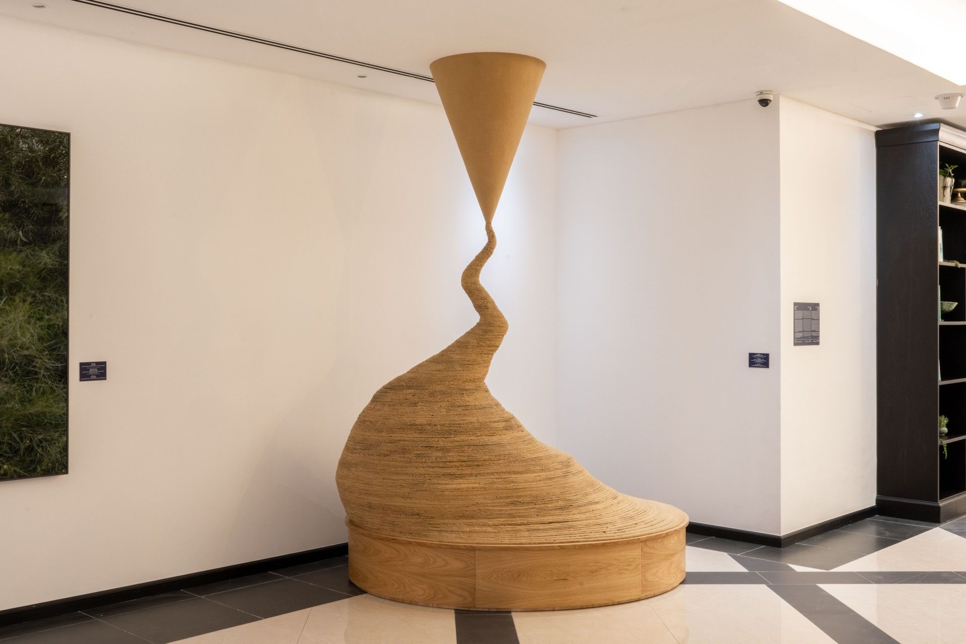 אומנות | בוטניקה חיפה