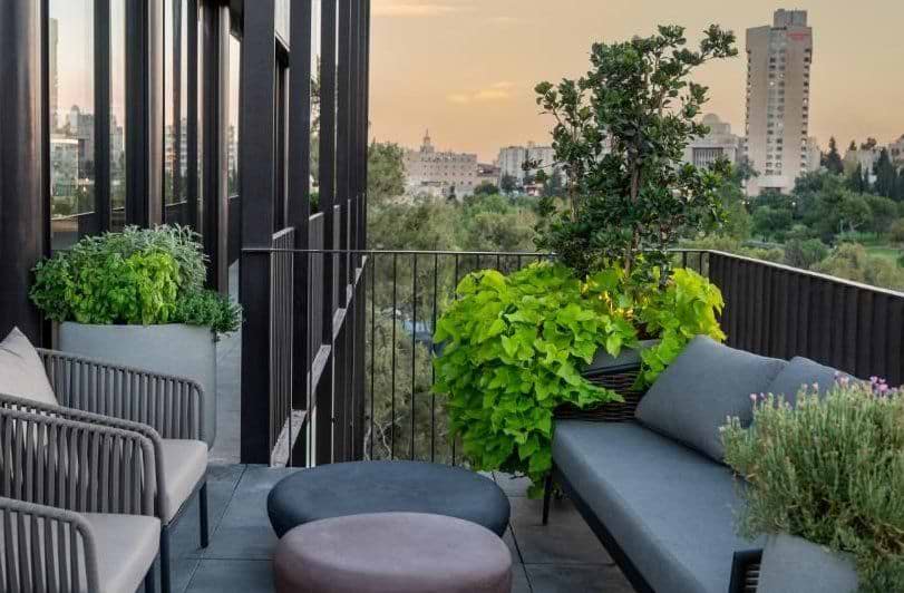 Rooftop bar NUCHA