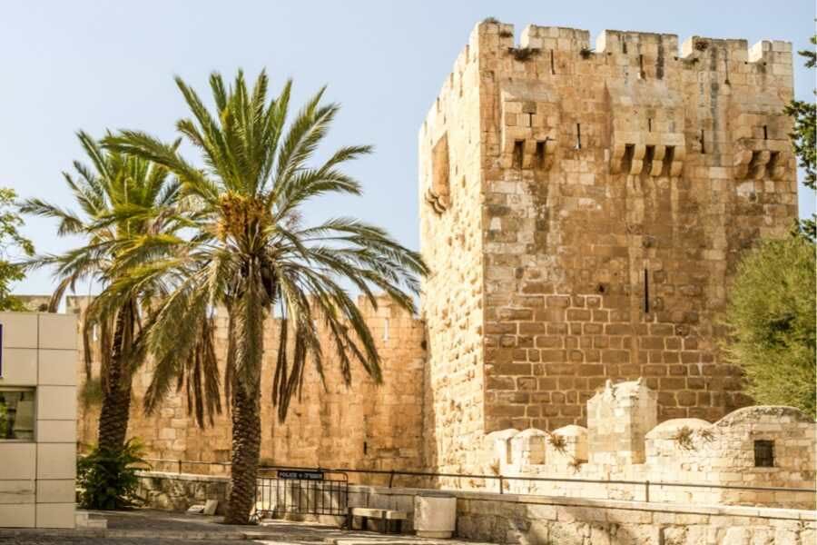 מוזיאון יפו לאומנויות_image